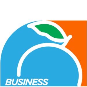 BUSINESS PLAN
